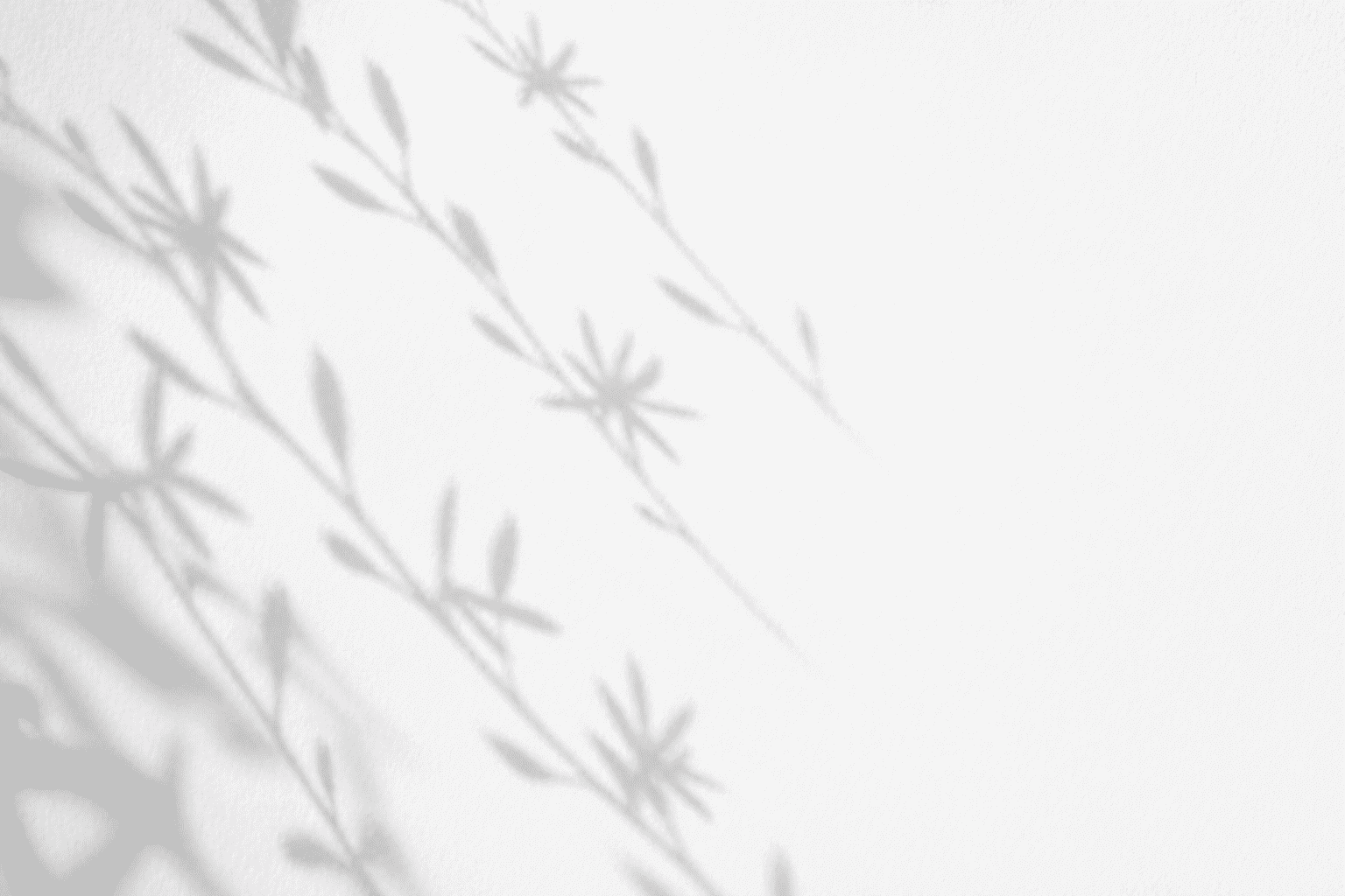 Texture shadow